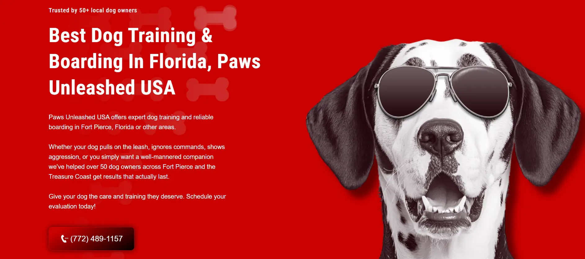 Paws Unleashed USA Platform