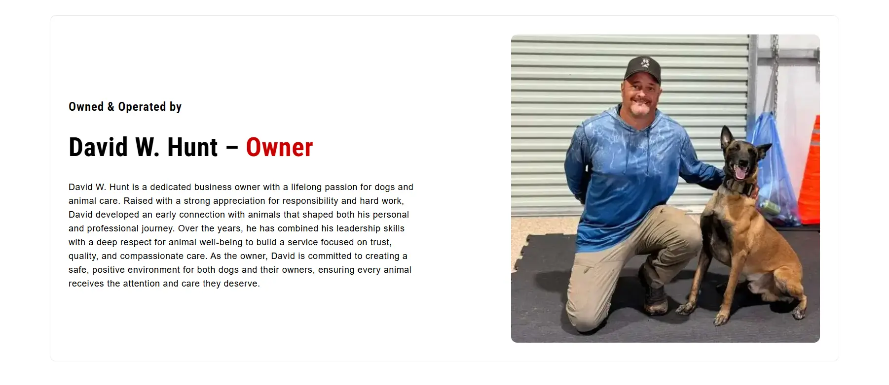 Paws Unleashed Mobile Experience